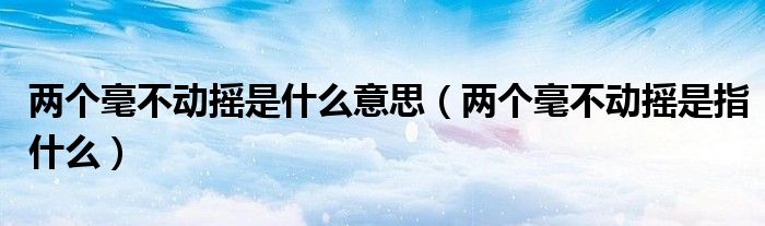 两个毫不动摇是什么意思(两个毫不动摇是指什么)