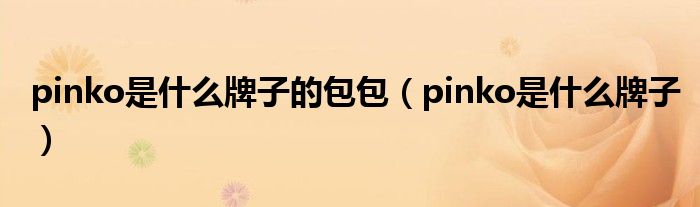 pinko是什么牌子的包包(pinko是什么牌子)