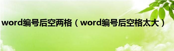 word编号后空两格(word编号后空格太大)
