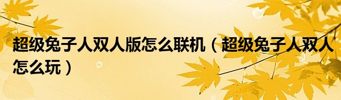 超级兔子人双人版怎么联机（超级兔子人双人怎么玩）