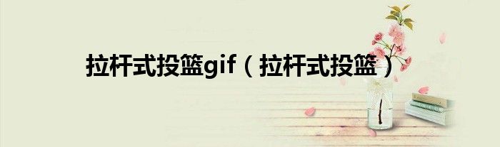 拉杆式投篮gif(拉杆式投篮)