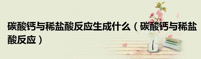 碳酸钙与稀盐酸反应生成什么(碳酸钙与稀盐酸反应)