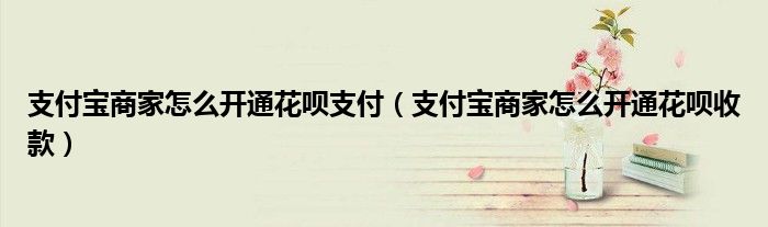 支付宝商家怎么开通花呗支付(支付宝商家怎么开通花呗收款)