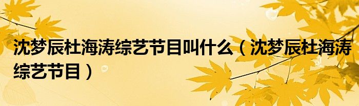 沈梦辰杜海涛综艺节目叫什么(沈梦辰杜海涛综艺节目)