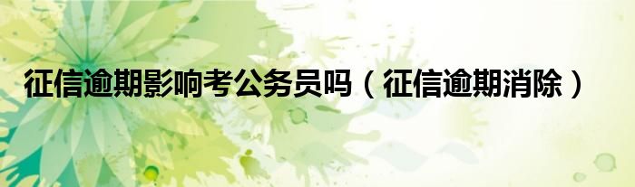 征信逾期影响考公务员吗(征信逾期消除)