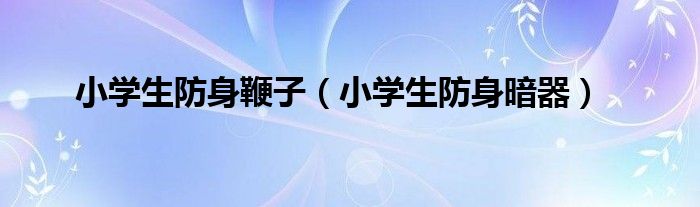 小学生防身鞭子(小学生防身暗器)