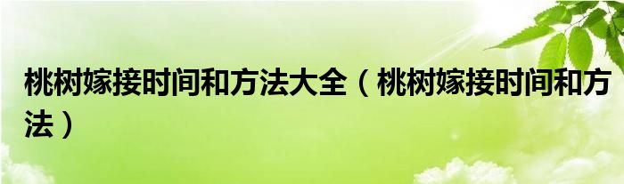 桃树嫁接时间和方法大全(桃树嫁接时间和方法)