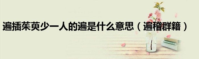 遍插茱萸少一人的遍是什么意思(遍稽群籍)