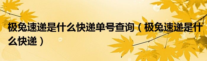 极兔速递是什么快递单号查询(极兔速递是什么快递)