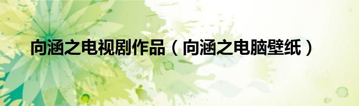 向涵之电视剧作品(向涵之电脑壁纸)