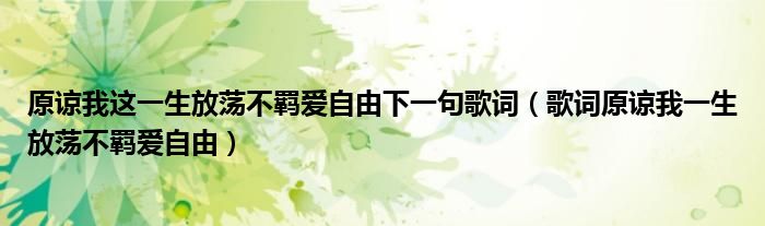 原谅我这一生放荡不羁爱自由下一句歌词(歌词原谅我一生放荡不羁爱自由)