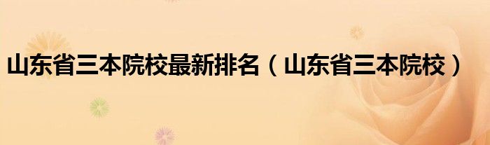 山东省三本院校最新排名(山东省三本院校)
