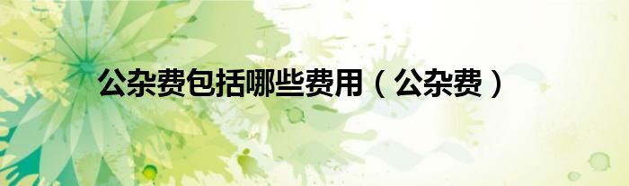 公杂费包括哪些费用(公杂费)