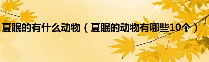 夏眠的有什么动物(夏眠的动物有哪些10个)