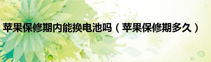 苹果保修期内能换电池吗(苹果保修期多久)