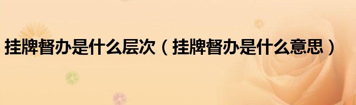 挂牌督办是什么层次(挂牌督办是什么意思)