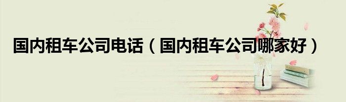 国内租车公司电话(国内租车公司哪家好)
