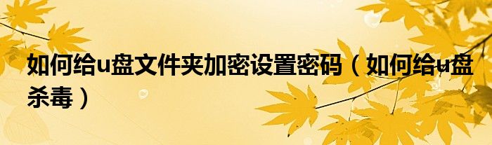 如何给u盘文件夹加密设置密码(如何给u盘杀毒)
