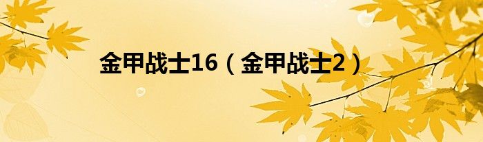 金甲战士16(金甲战士2)