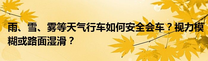 雨、雪、雾等天气行车如何安全会车?视力模糊或路面湿滑?