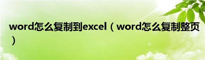 word怎么复制到excel(word怎么复制整页)