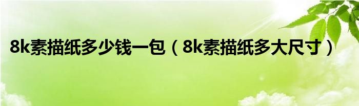 8k素描纸多少钱一包(8k素描纸多大尺寸)