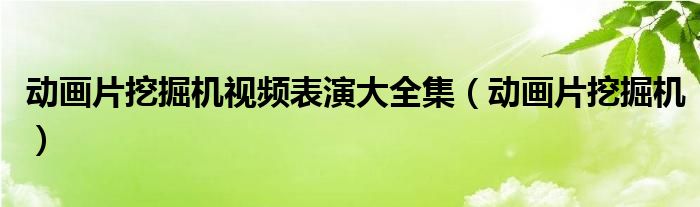 动画片挖掘机视频表演大全集(动画片挖掘机)