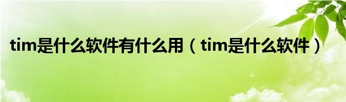 tim是什么软件有什么用(tim是什么软件)