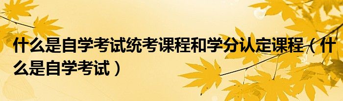什么是自学考试统考课程和学分认定课程(什么是自学考试)