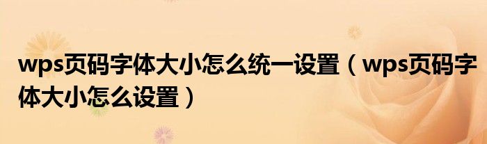 wps页码字体大小怎么统一设置(wps页码字体大小怎么设置)