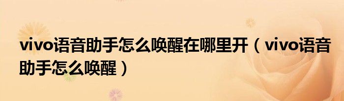 vivo语音助手怎么唤醒在哪里开(vivo语音助手怎么唤醒)