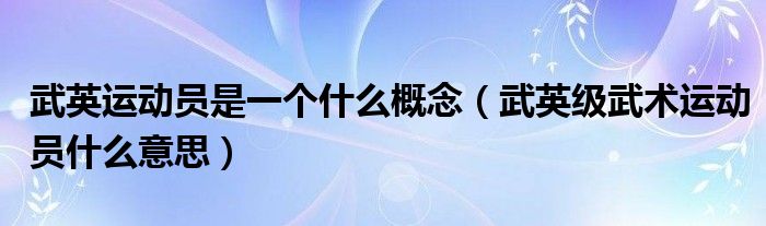 武英运动员是一个什么概念(武英级武术运动员什么意思)