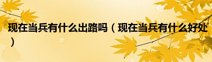现在当兵有什么出路吗(现在当兵有什么好处)