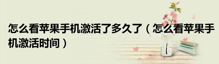 怎么看苹果手机激活了多久了(怎么看苹果手机激活时间)