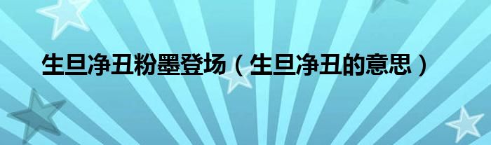 生旦净丑粉墨登场(生旦净丑的意思)