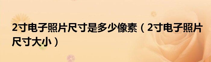 2寸电子照片尺寸是多少像素(2寸电子照片尺寸大小)