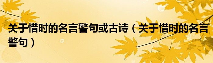 关于惜时的名言警句或古诗(关于惜时的名言警句)