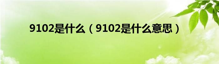 9102是什么(9102是什么意思)