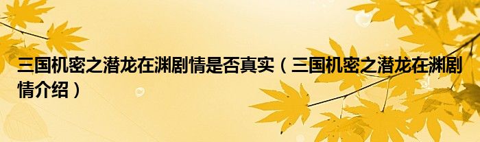 三国机密之潜龙在渊剧情是否真实(三国机密之潜龙在渊剧情介绍)