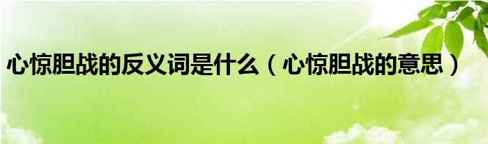 心惊胆战的反义词是什么(心惊胆战的意思)