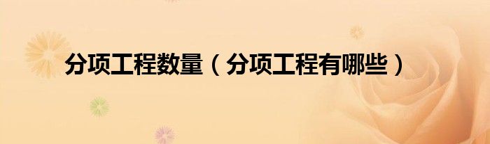 分项工程数量(分项工程有哪些)