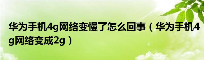 华为手机4g网络变慢了怎么回事(华为手机4g网络变成2g)