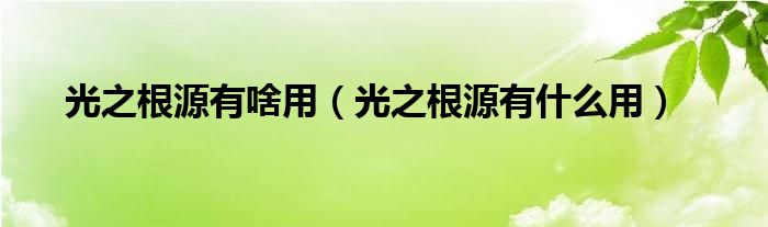 光之根源有啥用(光之根源有什么用)