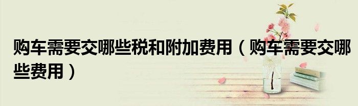 购车需要交哪些税和附加费用(购车需要交哪些费用)