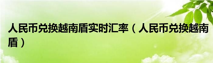 人民币兑换越南盾实时汇率(人民币兑换越南盾)