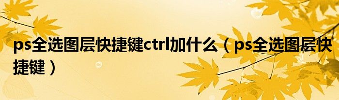 ps全选图层快捷键ctrl加什么(ps全选图层快捷键)