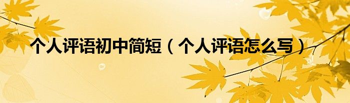 个人评语初中简短(个人评语怎么写)