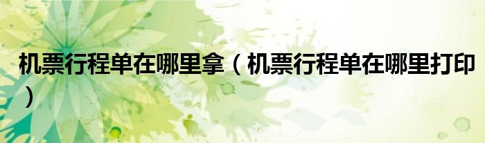 机票行程单在哪里拿(机票行程单在哪里打印)