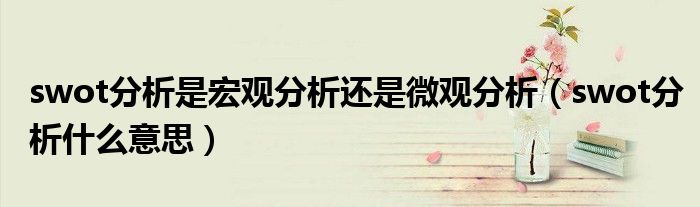 swot分析是宏观分析还是微观分析(swot分析什么意思)