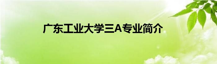 广东工业大学三A专业简介